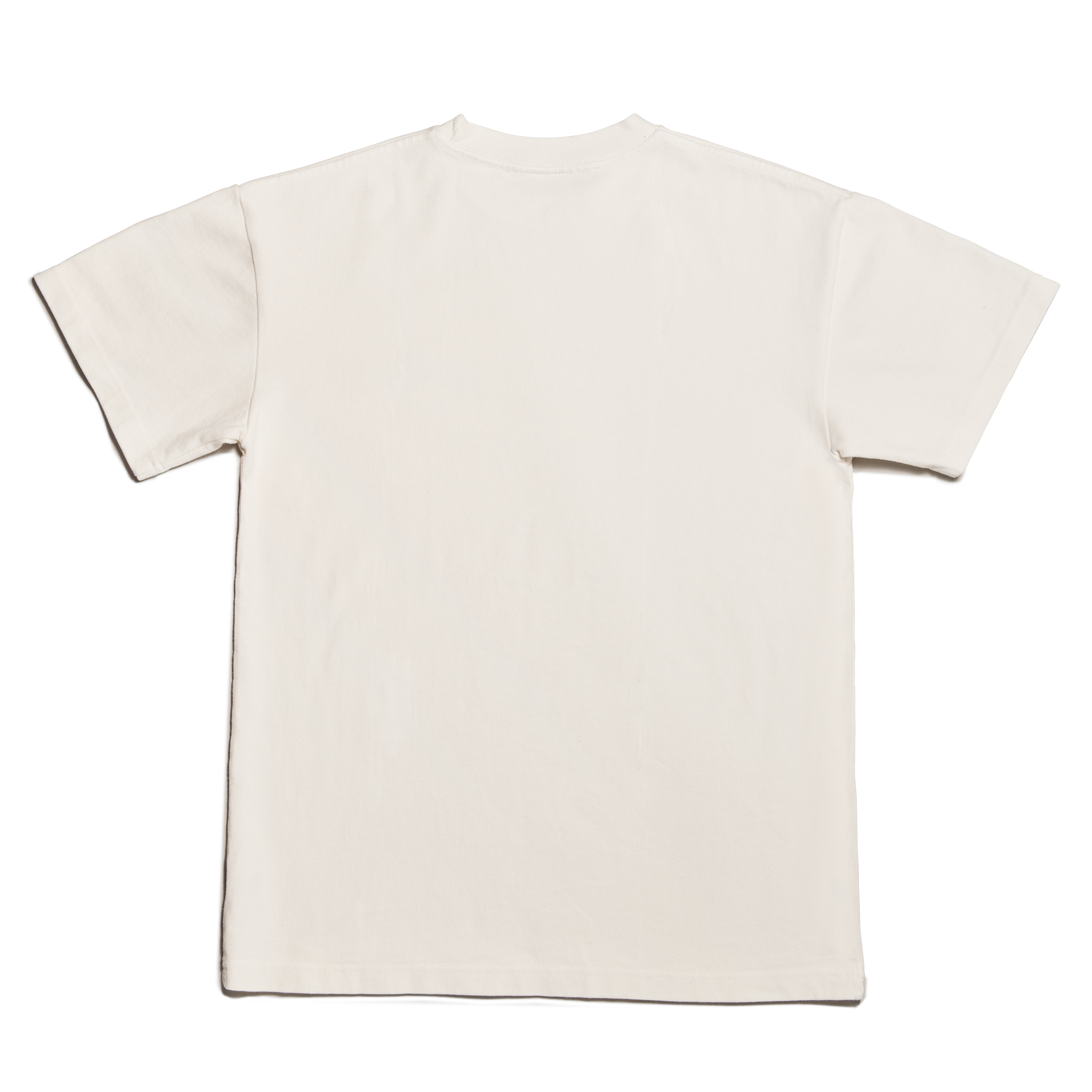 dagne-dover-varsity-logo-t-shirt-in-moonbeam-xl image 3
