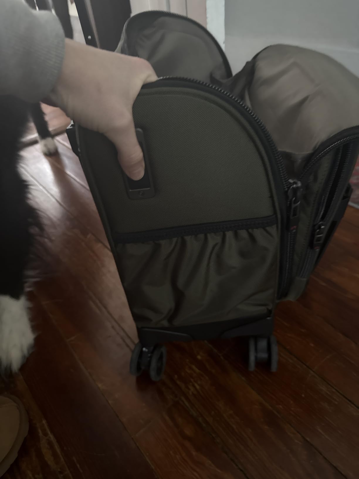 Great medium size