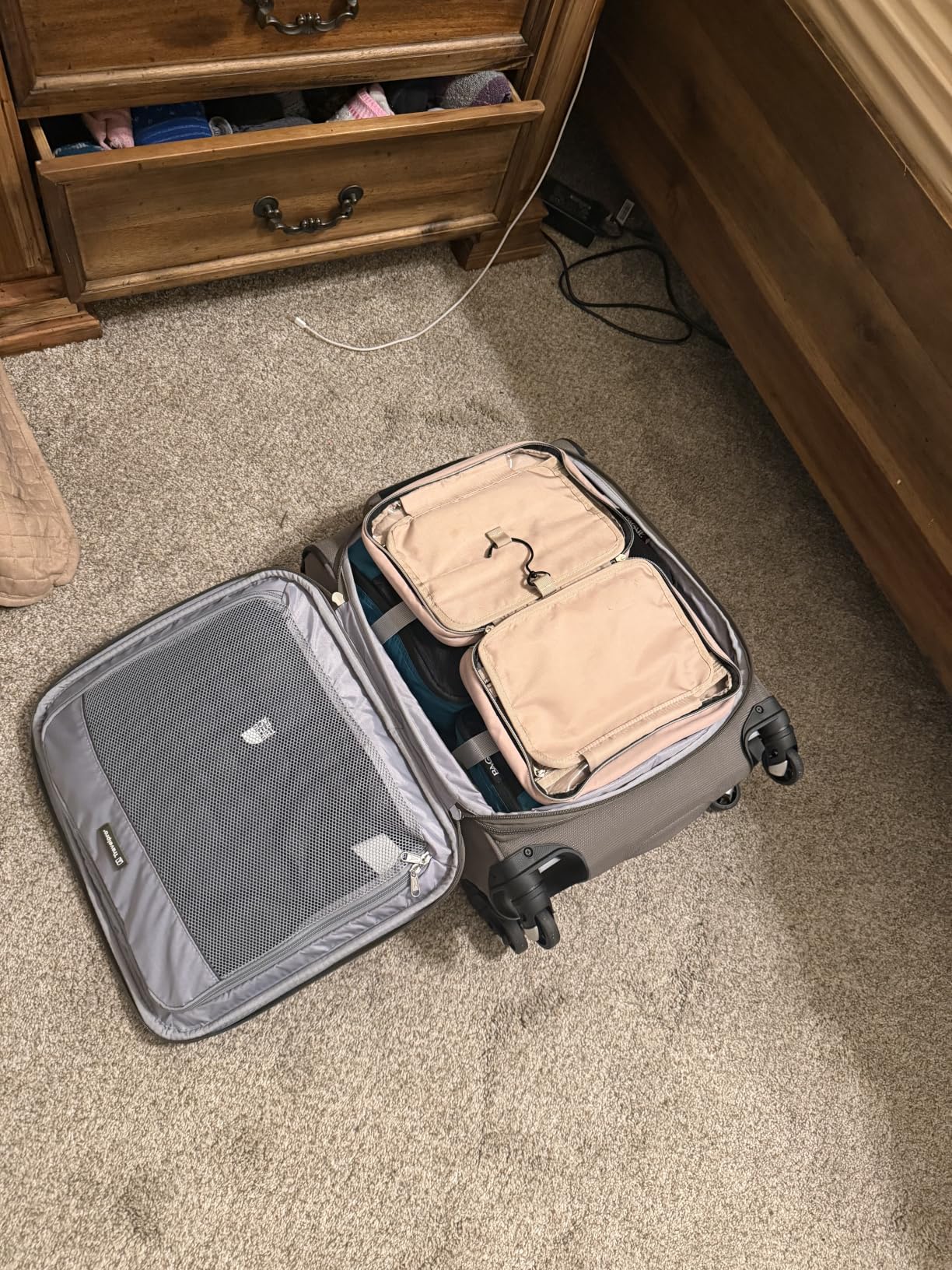 My new favorite travel buddy