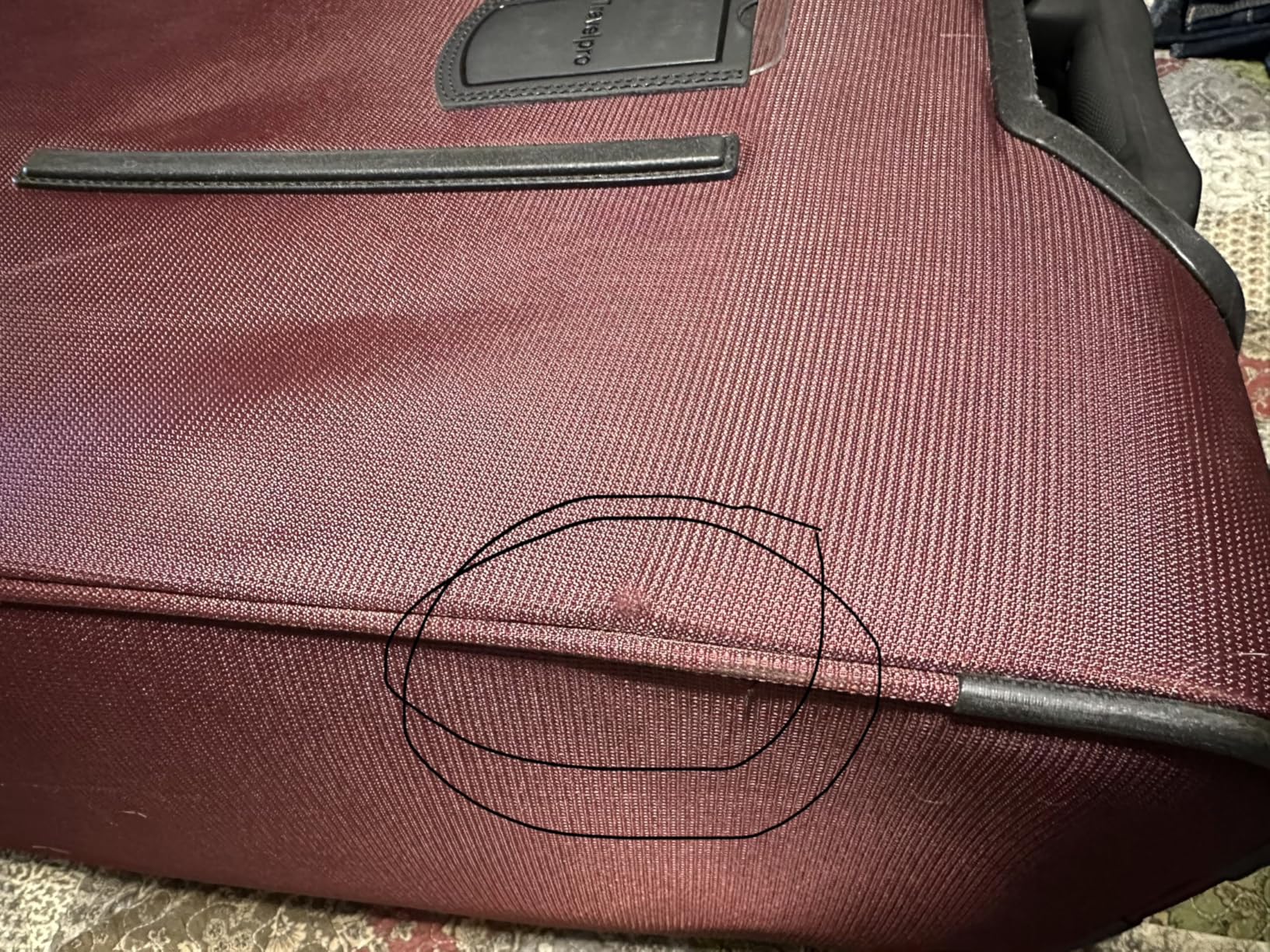 Nice carry-on