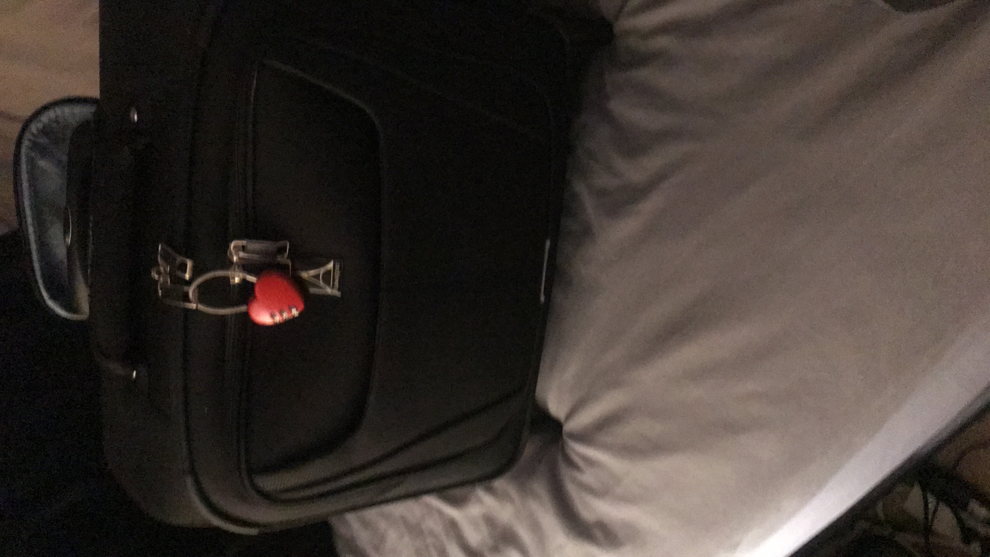 Perfect under-seat bag