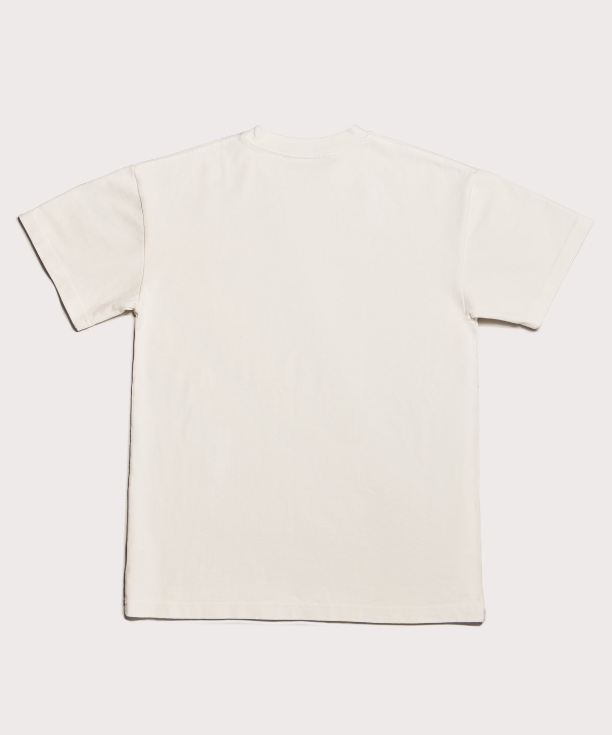 dagne-dover-varsity-logo-t-shirt-in-moonbeam-2x-cotton-apparel image 8