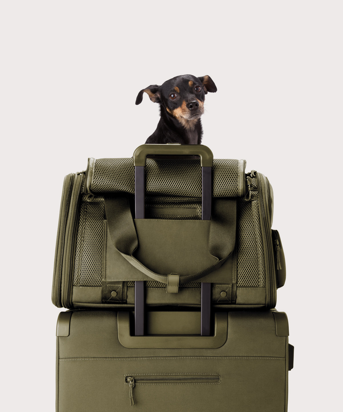 dagne-dover-kyoto-pet-carrier-in-dark-moss-large-airline-compatible-travel-carri image 7