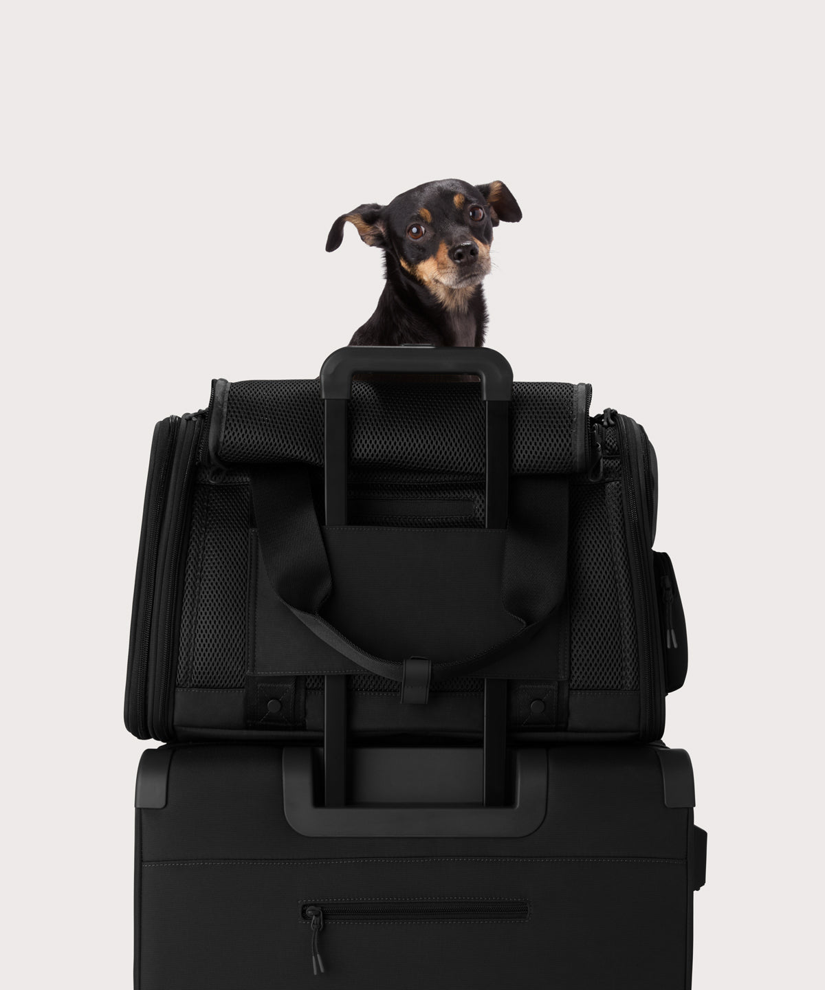 dagne-dover-kyoto-pet-carrier-in-onyx-large-airline-approved-pet-travel-bag image 7