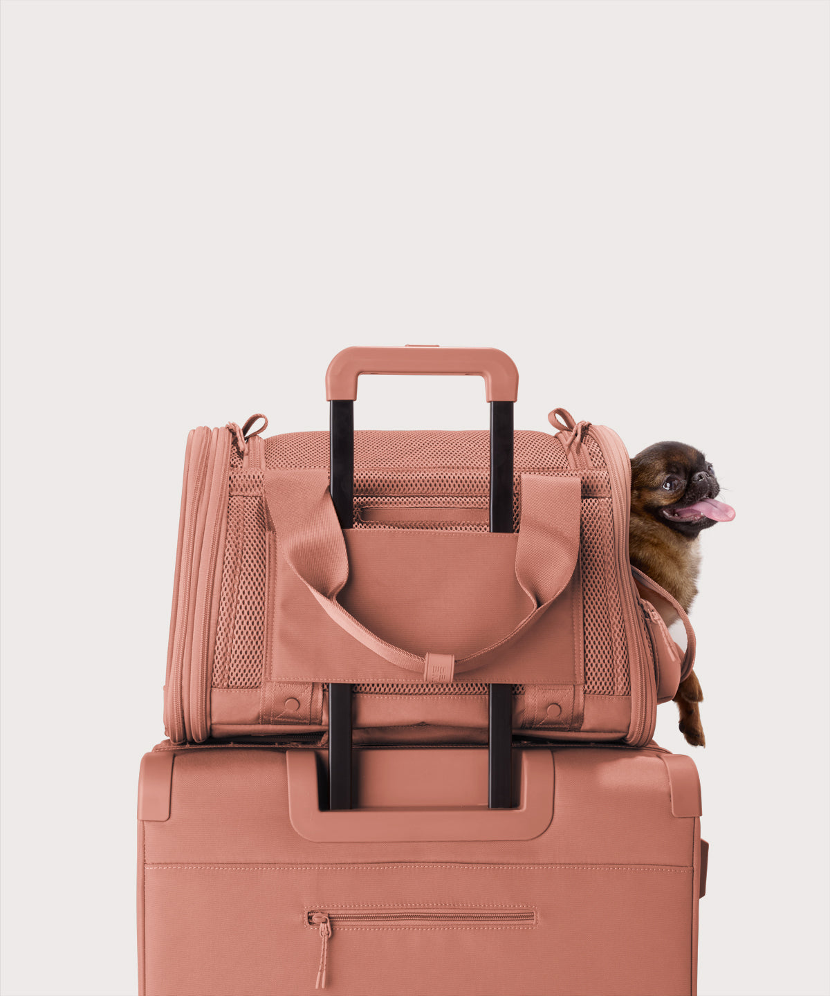 dagne-dover-kyoto-pet-carrier-in-warm-dust-small image 7