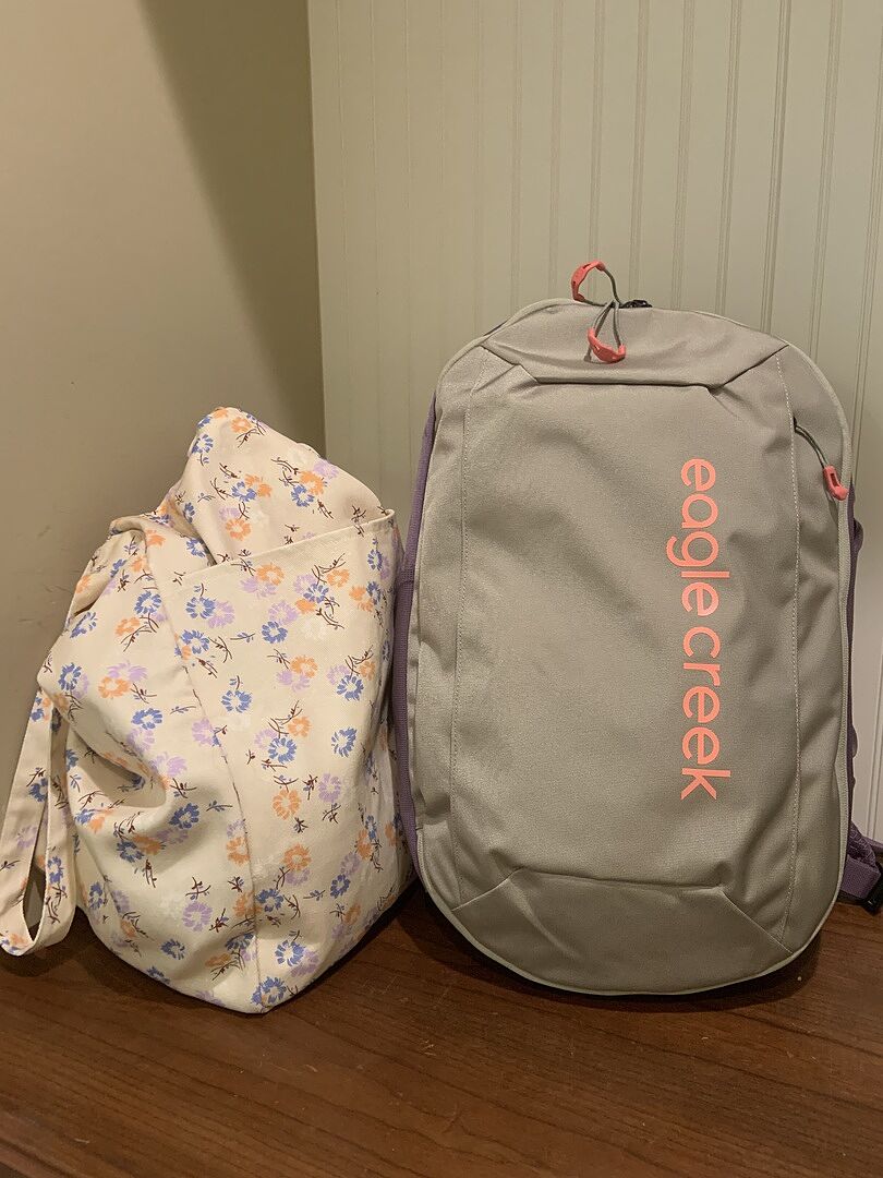 My go-to travel backpack