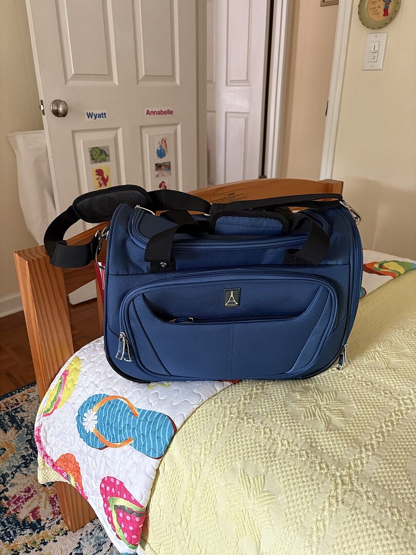 Perfect everyday bag