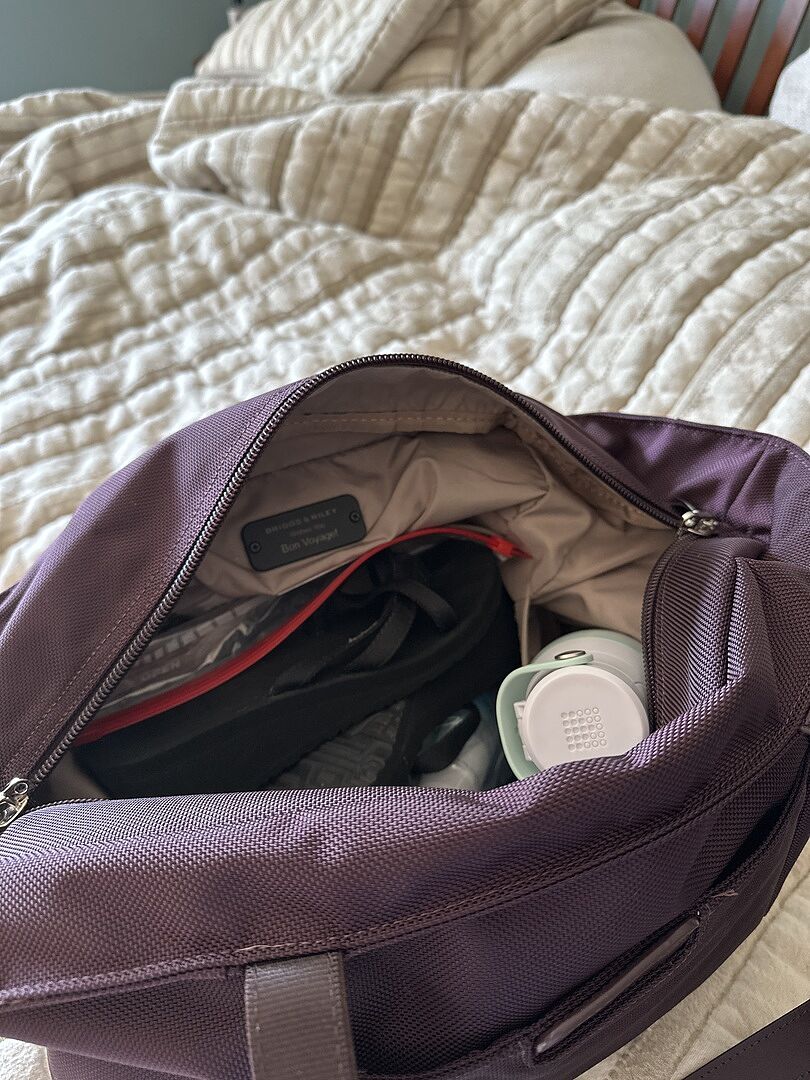 Perfect work tote