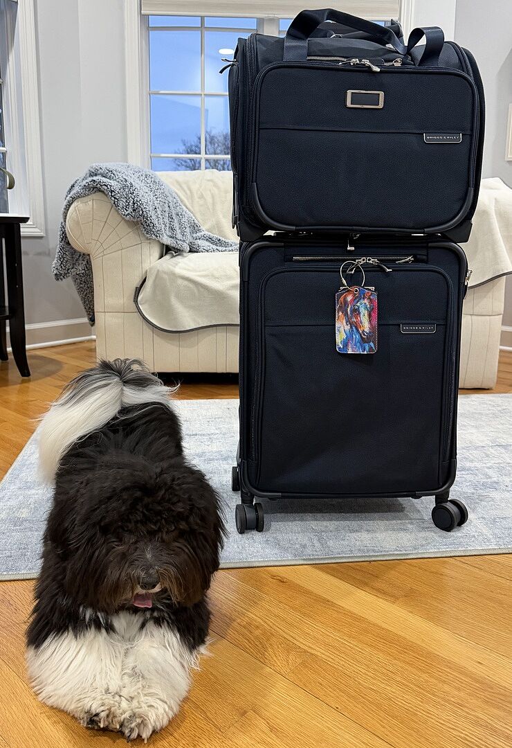 Travels like a dream