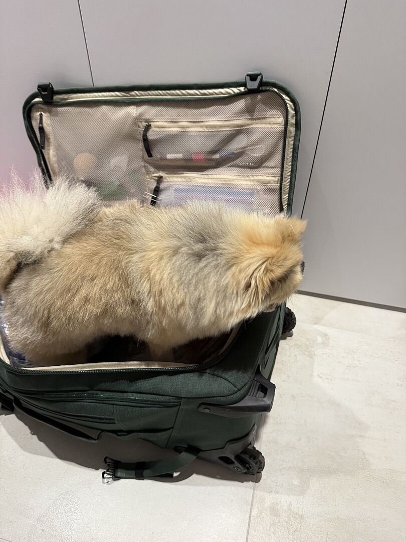 Built for rough travel